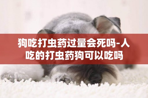狗吃打蟲藥過量會死嗎-人吃的打蟲藥狗可以吃嗎