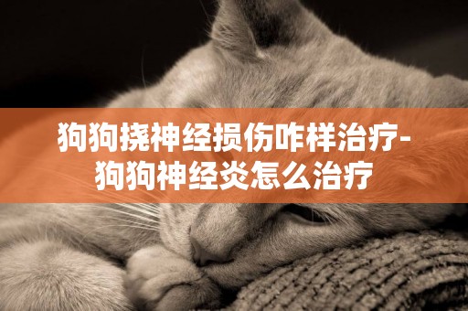 狗狗撓神經損傷咋樣治療-狗狗神經炎怎么治療