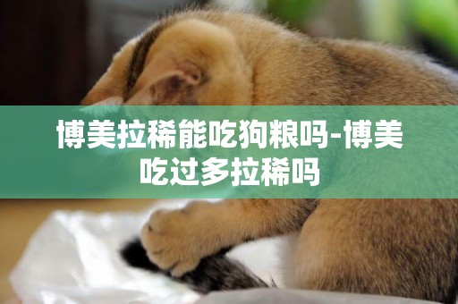 博美拉稀能吃狗糧嗎-博美吃過多拉稀嗎