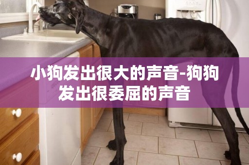 小狗發出很大的聲音-狗狗發出很委屈的聲音