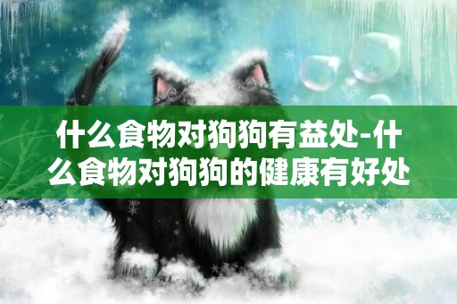 什么食物對狗狗有益處-什么食物對狗狗的健康有好處