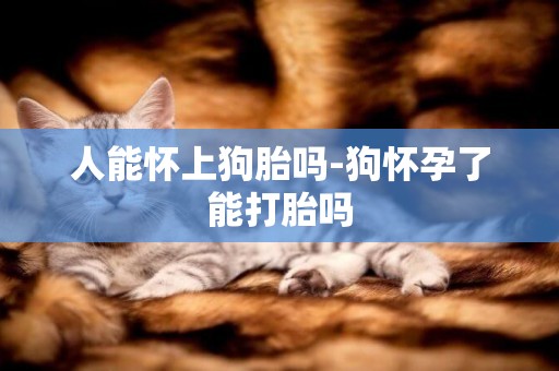人能懷上狗胎嗎-狗懷孕了能打胎嗎