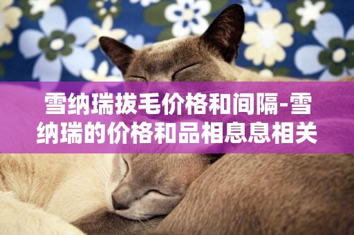 雪納瑞拔毛價格和間隔-雪納瑞的價格和品相息息相關