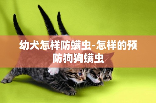 幼犬怎樣防螨蟲-怎樣的預防狗狗螨蟲