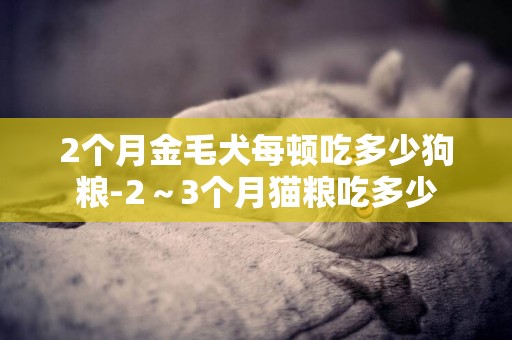 2個月金毛犬每頓吃多少狗糧-2～3個月貓糧吃多少
