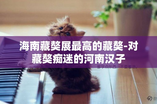 海南藏獒展最高的藏獒-對藏獒癡迷的河南漢子