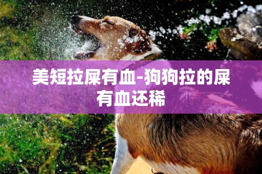 美短拉屎有血-狗狗拉的屎有血還稀