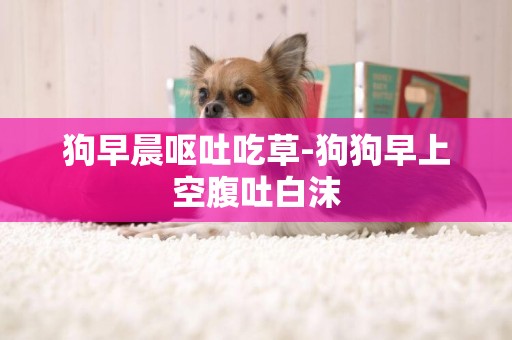 狗早晨嘔吐吃草-狗狗早上空腹吐白沫