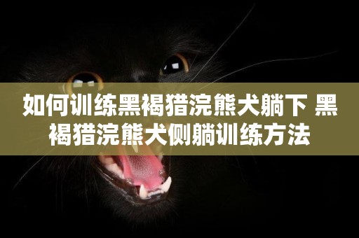 如何訓練黑褐獵浣熊犬躺下 黑褐獵浣熊犬側躺訓練方法