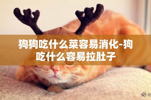 狗狗吃什么菜容易消化-狗吃什么容易拉肚子
