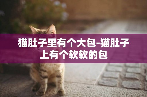貓肚子里有個大包-貓肚子上有個軟軟的包