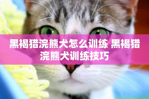 黑褐獵浣熊犬怎么訓練 黑褐獵浣熊犬訓練技巧