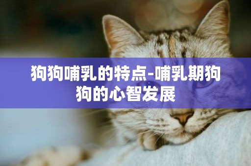 狗狗哺乳的特點-哺乳期狗狗的心智發展