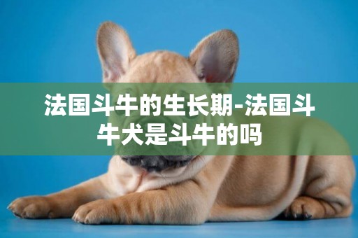 法國斗牛的生長期-法國斗牛犬是斗牛的嗎