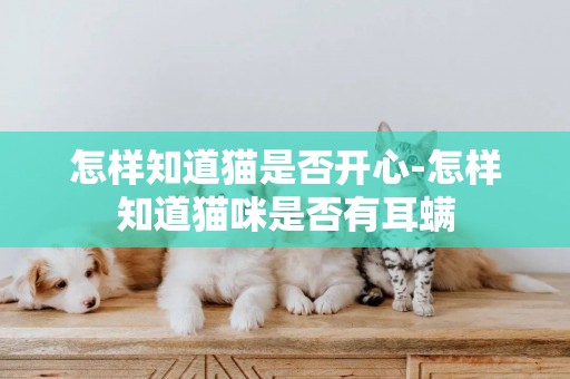 怎樣知道貓是否開心-怎樣知道貓咪是否有耳螨