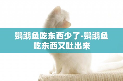鸚鵡魚吃東西少了-鸚鵡魚吃東西又吐出來
