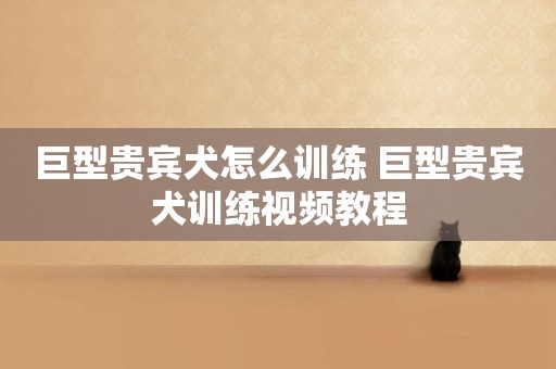 巨型貴賓犬怎么訓練 巨型貴賓犬訓練視頻教程