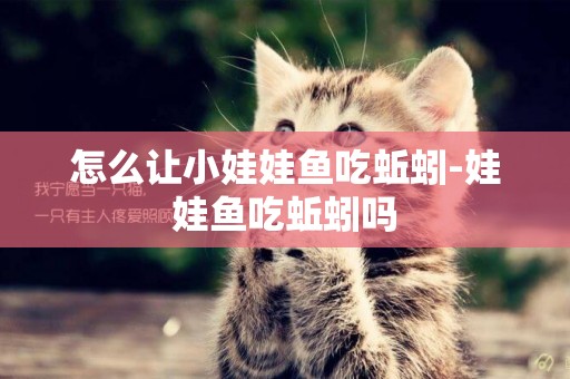 怎么讓小娃娃魚吃蚯蚓-娃娃魚吃蚯蚓嗎