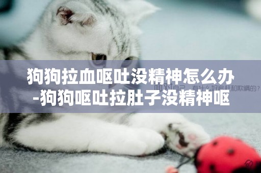狗狗拉血嘔吐沒精神怎么辦-狗狗嘔吐拉肚子沒精神嘔吐怎么回事啊