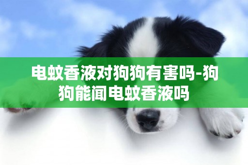 電蚊香液對狗狗有害嗎-狗狗能聞電蚊香液嗎