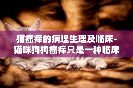 貓瘙癢的病理生理及臨床-貓咪狗狗瘙癢只是一種臨床癥狀