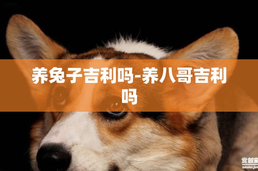 養兔子吉利嗎-養八哥吉利嗎