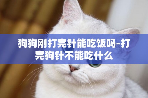 狗狗剛打完針能吃飯嗎-打完狗針不能吃什么