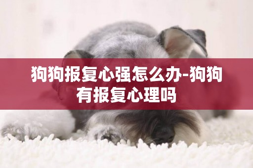 狗狗報復心強怎么辦-狗狗有報復心理嗎