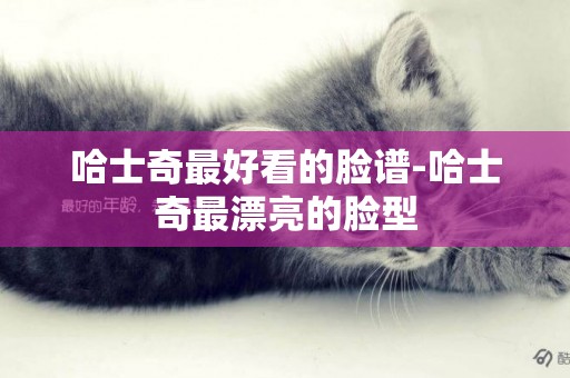 哈士奇最好看的臉譜-哈士奇最漂亮的臉型