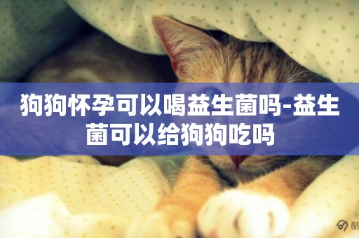 狗狗懷孕可以喝益生菌嗎-益生菌可以給狗狗吃嗎