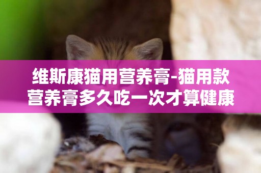 維斯康貓用營養膏-貓用款營養膏多久吃一次才算健康