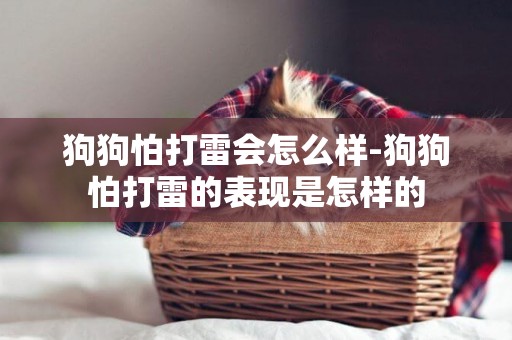 狗狗怕打雷會怎么樣-狗狗怕打雷的表現是怎樣的