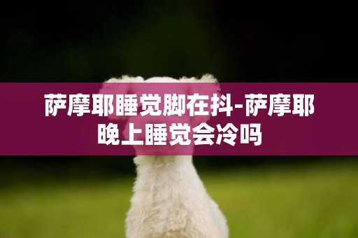 薩摩耶睡覺腳在抖-薩摩耶晚上睡覺會冷嗎