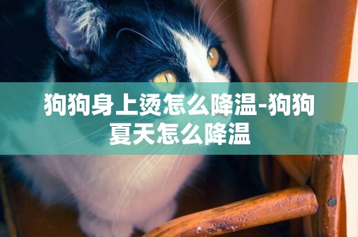 狗狗身上燙怎么降溫-狗狗夏天怎么降溫