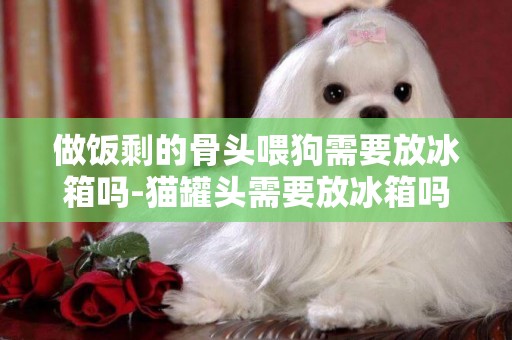 做飯剩的骨頭喂狗需要放冰箱嗎-貓罐頭需要放冰箱嗎