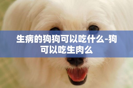 生病的狗狗可以吃什么-狗可以吃生肉么