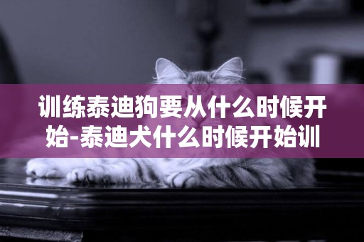 訓練泰迪狗要從什么時候開始-泰迪犬什么時候開始訓練