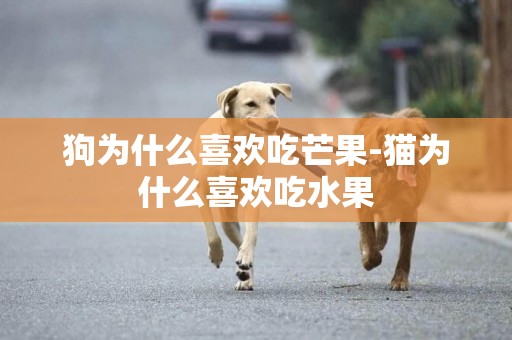 狗為什么喜歡吃芒果-貓為什么喜歡吃水果