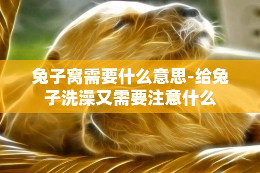 兔子窩需要什么意思-給兔子洗澡又需要注意什么