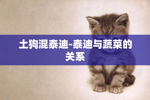 土狗混泰迪-泰迪與蔬菜的關系