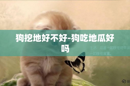 狗挖地好不好-狗吃地瓜好嗎
