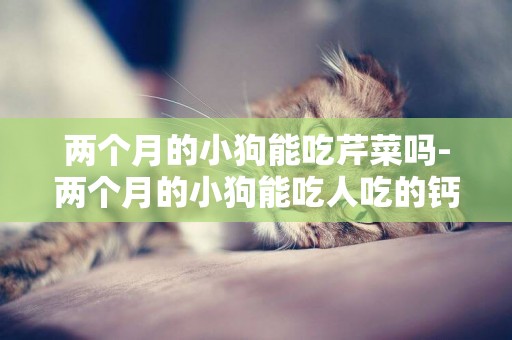 兩個月的小狗能吃芹菜嗎-兩個月的小狗能吃人吃的鈣片嗎