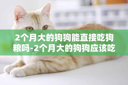 2個月大的狗狗能直接吃狗糧嗎-2個月大的狗狗應該吃多少狗糧
