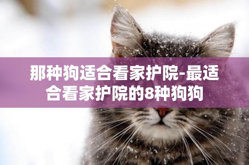 那種狗適合看家護院-最適合看家護院的8種狗狗
