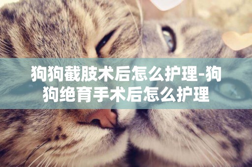 狗狗截肢術后怎么護理-狗狗絕育手術后怎么護理