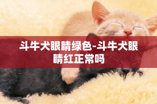 斗牛犬眼睛綠色-斗牛犬眼睛紅正常嗎
