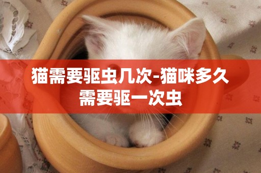 貓需要驅蟲幾次-貓咪多久需要驅一次蟲
