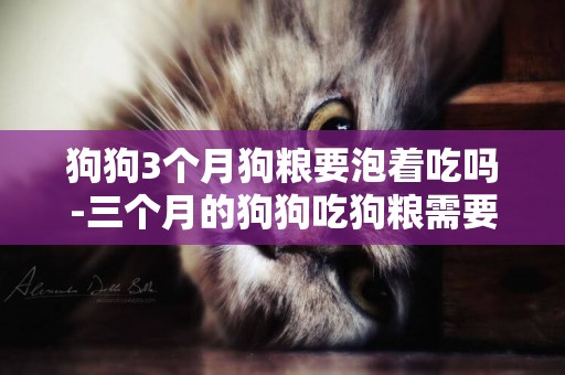 狗狗3個月狗糧要泡著吃嗎-三個月的狗狗吃狗糧需要用水泡嗎
