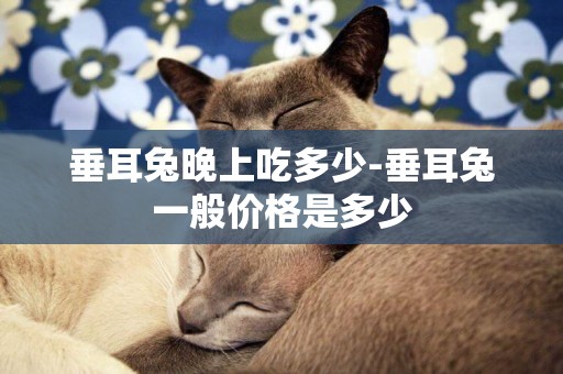 垂耳兔晚上吃多少-垂耳兔一般價格是多少