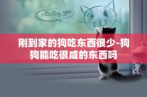 剛到家的狗吃東西很少-狗狗能吃很咸的東西嗎